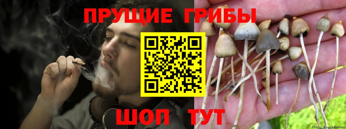 Верхняя Пышма  наркота  Псилоцибиновые грибы Magic Shrooms  Вход с VPN  Галлюциногенные грибы GOLDEN TEACHER 